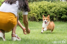 송파동물PETCLUB | 송파 '반려동물 한마당' 개최