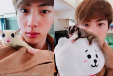 방탄소년단 진, 첫 자작곡 이 밤 공개 반려동물 생각하며 썼다