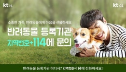 반려동물 등록기관 찾기 어렵다면?..번호안내 114로