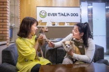 에버랜드, 반려견 돌봄서비스 개시..강아지 맡기셔도 됩니다