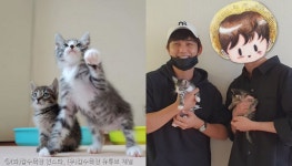 임시보호받던 아기 길고양이 남매 입양한 배우 유승호