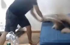 또 동물학대 콘텐츠..방송서 반려묘 학대하며 즐긴 유튜버들