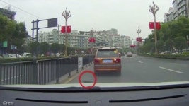 도로 한복판에 고양이 내동댕이친 운전자..말 안 들어서
