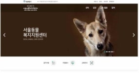 유기견 입양정보 담은 서울동물복지지원센터 홈페이지 개설