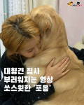 대형견 집사 부러워지는 영상..쏘스윗한 포옹