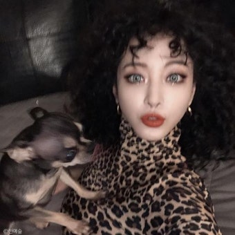 한예슬 반려견 골절 사고, 팬들의 따뜻한 응원 속에 입원 중