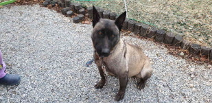 강원 강릉 박월동에서 마리노이즈 구조