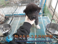 경기 양주 덕계동 덕계공원 주차장에서 까만 강아지 구조