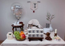 이상한 부분을 찾으시오..아기 집사 백일상 뺏은 뻔뻔한 고양이