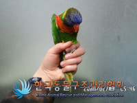 서울 서대문구 홍은동에서 앵무새 구조