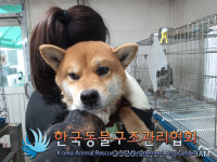 서울 금천구 시흥동 남서울힐스테이트에서 시바 구조