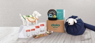 실내생활이 즐거워지는 반려견 용품 5가지