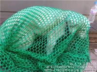 대전 서구 청사로 둥지아파트 인근에서 흰색 강아지 발견 보호..목줄
