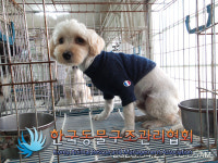 경기 김포 장기동 수로변에서 갈흰색 강아지 발견 보호