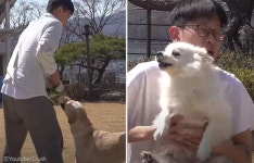 크러쉬, 반려견들과 함께 한 리얼 일상..강아지가 놀아주는 중