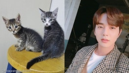 구해주셔서 고맙습니다 갑수목장 논란에 유승호에 쏟아지는 찬사