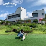 코로나19에 달라지는 여름휴가..반려가족의 선택은