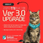 백산동물병원, 고양이 헌혈프로그램 3.0 업그레이드