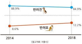 백산동물병원, 고양이 헌혈프로그램 3.0 업그레이드