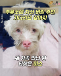 주유소에 자신 버린 주인 기다리던 강아지..새 가족 만난 뒤 되찾은 미소