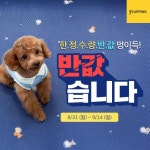 프리미엄 펫브랜드 퍼핑, 강아지매트 한정수량 반값행사