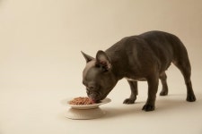 도그쿡, 건강한 한끼 화식 4종 출시