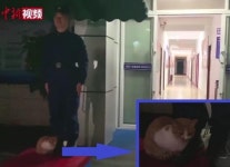 中소방관과 같이 보초선 고양이..소방서 밥 3년 먹은 길고양이의 보은