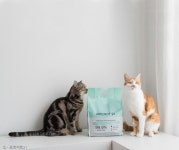 프로젝트21, 먼지 없고 부드러운 프리미엄 퓨어 벤토나이트 출시