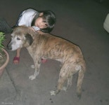 원 주인 보려고.. 매주 20분 걸어서 찾아오는 할머니댁 강아지