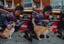 할머니 나 잘했어? 칭찬에 꼬리가 하늘로 올라간 고양이