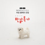 퍼핑, 빈공간 없이 간편하게 전체 시공..롤매트 런칭