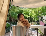 최지우, 반려견과 함께 보낸 햇살 가득한 주말