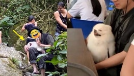 여행서 신나게 놀다 급 방전된 강아지..벌써 자면 어떡해