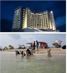 반려견 해수욕장 멍비치, 강릉 SL호텔과 반려견 전용 객실 운영