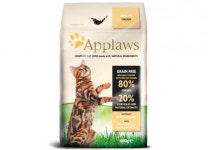 올해 고양이 335마리 죽인 영국 사료?..당국, 고양이 범혈구감소증 원인 조사