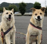 아이와 절친된 줄 알았더니 빵 뺏은 절 강아지..인생은 약육강식입니다