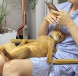 집사 무릎에 벌러덩 누워 꿀잠 자는 냥이..내가 원하던 침대다옹!
