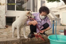 휴대폰 게임에 푹빠진 80대 노모 위해 강아지 입양한 가족