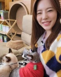 소녀시대 써니, 무릎냥이둘 애교에 찐웃음 발사..냥냥이들이랑 놀 사람~