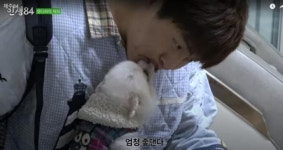 기안84, 엄마 위해 반려견에 건강검진 선물..800년치 건빵도 사줄 수 있는데..