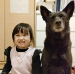 꼬마 집사 혼나서 울자 달려와 눈총 쏜 강아지..지금 애 울렸개?