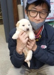 충남 예산 삽교에서 강아지 발견 보호..주인 사망