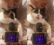 이상순♥이효리 부부, 반려묘 삼식이 노래 솜씨 공개..요즘 이게 유행이라던데
