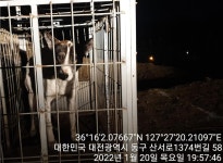 대전 동구 산서로에서 강아지 발견 보호