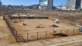 곳곳에 반려견 놀이터가...평택시 반려견 동반 쉼터 6곳 확대