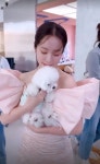 한지민, 말티즈 안고 우쭈쭈..공주님과 강아지