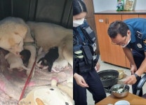 새끼 낳은 댕댕이에게 미역국 끓여준 경찰들