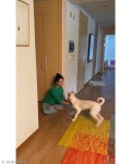 김고은, 불치병 앓는 월이 근황 공개...왤케 컸어ㅎ
