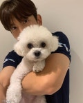 최강창민, 반려견 버찌와 함께 전한 저녁 인사..Good night