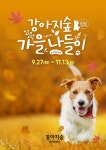 강아지숲 테마파크, 풍성한 가을 축제 가을나들이’ 개최
